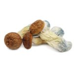 Where To Buy Magic Mushrooms